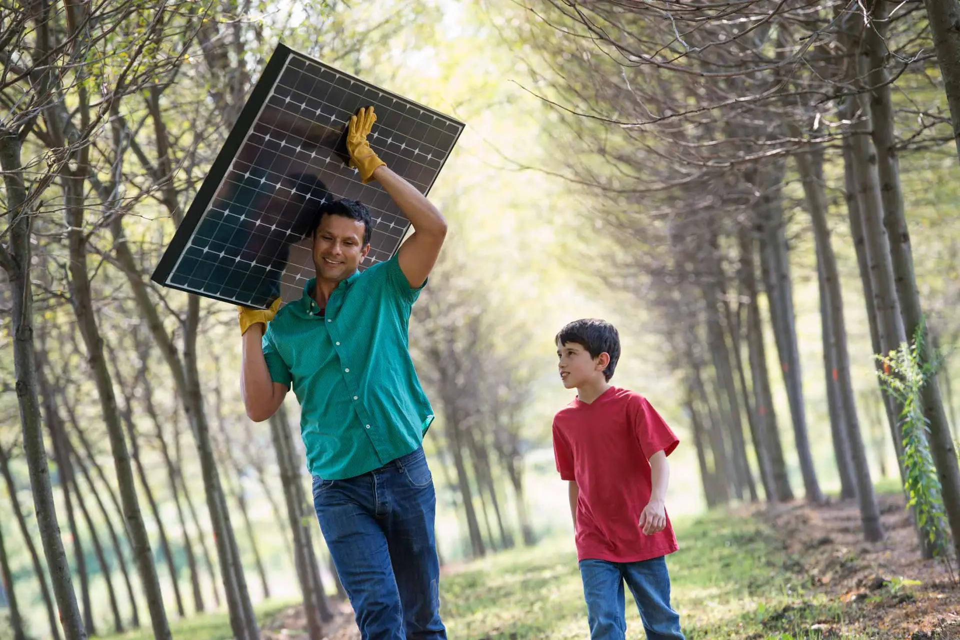 Summer in the country,A man carrying a solar panel down an avenue of trees, accompanied by a child.